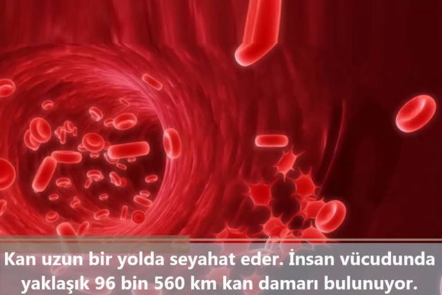 İnsanlar da Olan 10 Ortak Özellik
