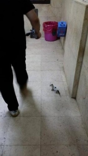 Çok Şaşıracaksınız! Hastane Demeye Bin Şahit Lazım