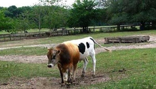 PAYLAŞTIĞI FOTOĞRAFLA TÜM DÜNYA’YA REZİL OLAN ÜNİVERSİTELİ