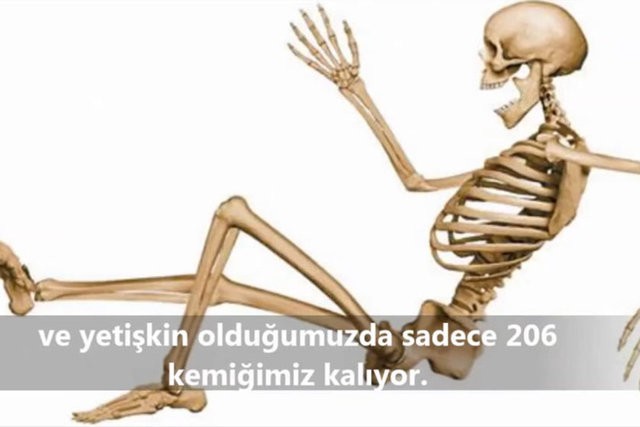 İnsanlar da Olan 10 Ortak Özellik