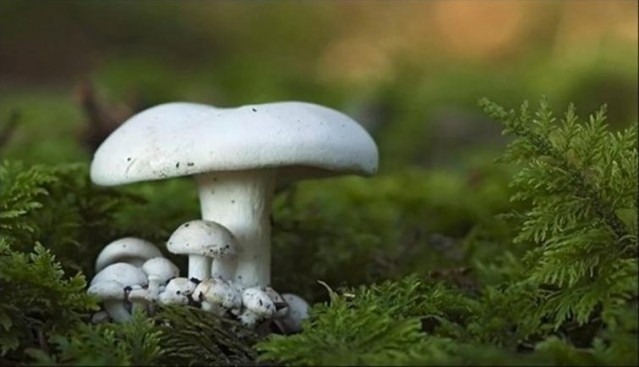 Yumurtayı sakın böyle yemeyin... Ölüm riski taşıyor
