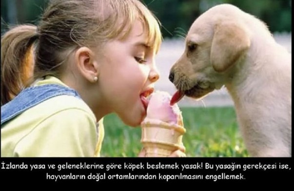 Evi Temizledikten Sonra Evdeki Bekâr Erkeklerle.. Böyle Gelenek mi Olur?