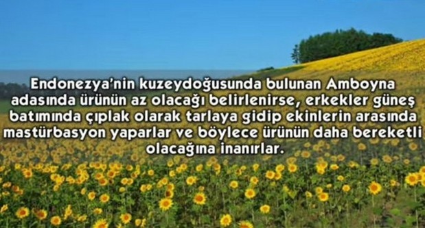 Evi Temizledikten Sonra Evdeki Bekâr Erkeklerle.. Böyle Gelenek mi Olur?