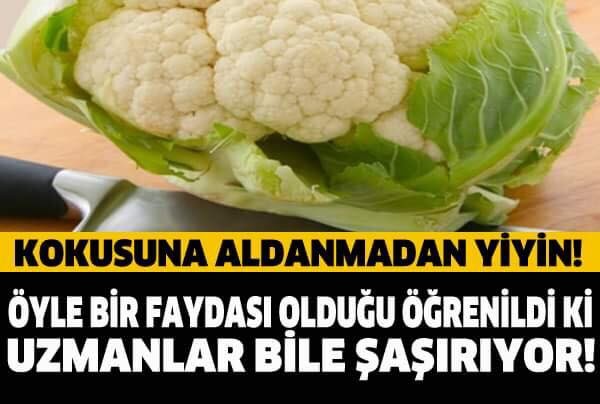 KOKUSUNA ALDANMADAN YİYİN! ÖYLE BİR FAYDASI OLDUĞU ÖĞRENİLDİ Kİ... UZMANLAR BİLE ŞAŞIRIYOR!
