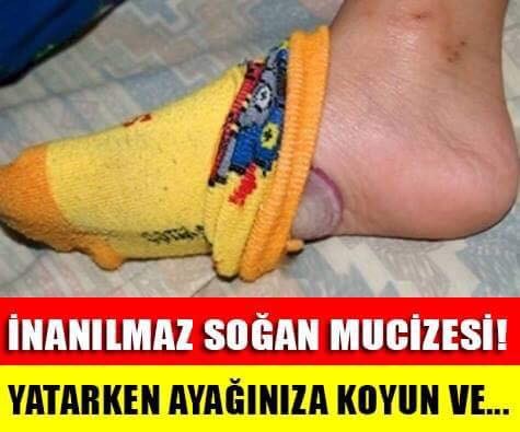 SOĞANDAKİ İNANILMAZ MUCİZE!