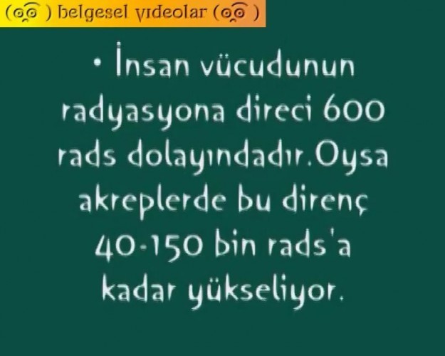 İLGİNÇ BİLGİLER!