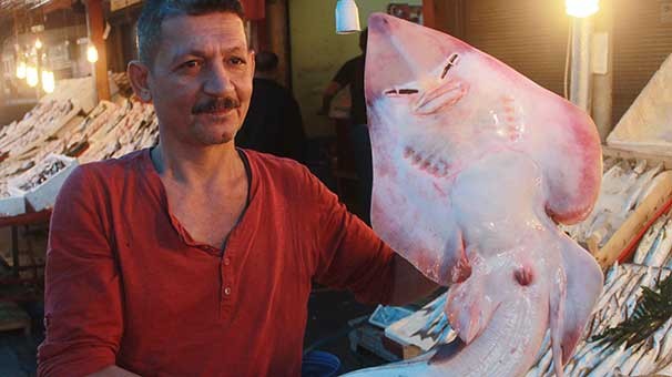 YÜZÜNÜ GÖREN BİRKEZ DAHA BAKIYOR! İNSAN YÜZLÜ BALIK!