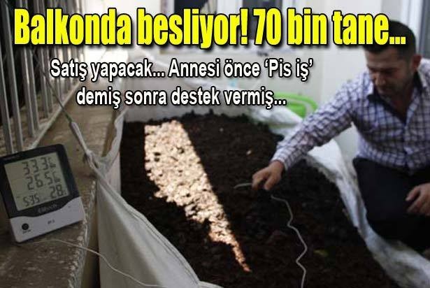 Onlar benim elmaslarım diyor…