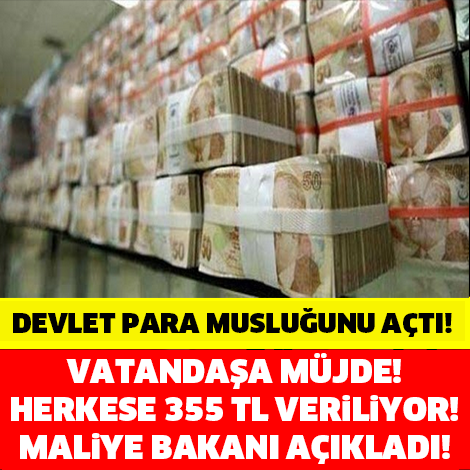 Maliye bakanı açıkladı! Milyonlarca vatandaşa müjde! Herkese tamı tamına 355 tl veriliyor!