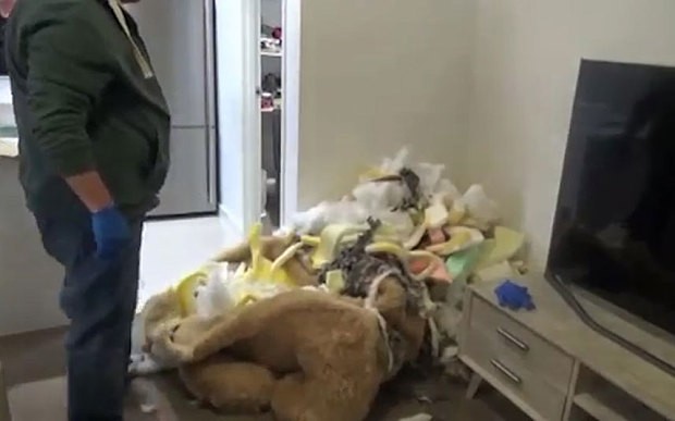 OYUNCAK AYININ İÇİNDEN ÖYLE BİR ŞEY ÇIKTI Kİ EVE GELEN POLİSLER DESTEK ALMAYA BAŞLADI !