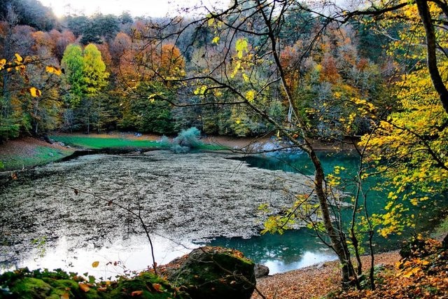 Türkiye'nin Turist Haritası!