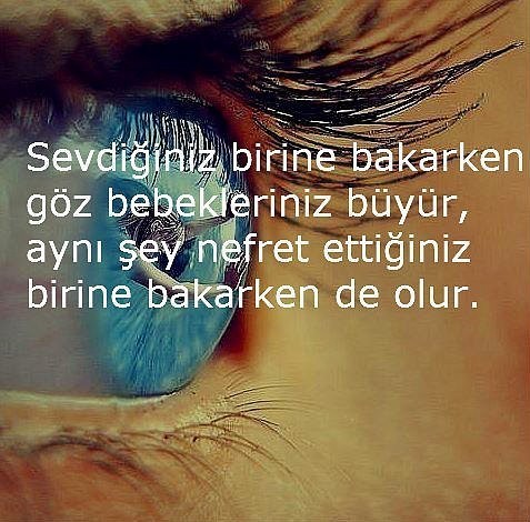 İLGİNÇ BİLGİLER!