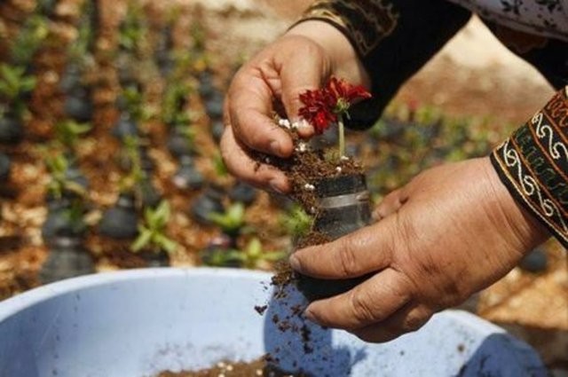 Öyle Birşey Yaptı ki Görenler Helal Olsun Dedi!