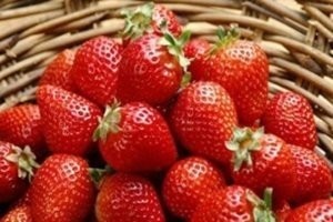 ÇİLEĞE KARABİBER SERPEREK YİYİN... BAKIN NE OLUYOR! ŞOK OLACAKSINIZ..!
