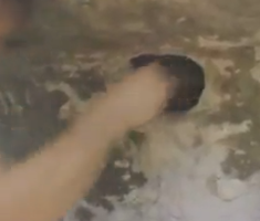 Elini o deliğe soktu ve... Hekes bağıra bağıra kaçtı !