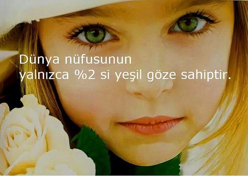 İLGİNÇ BİLGİLER!