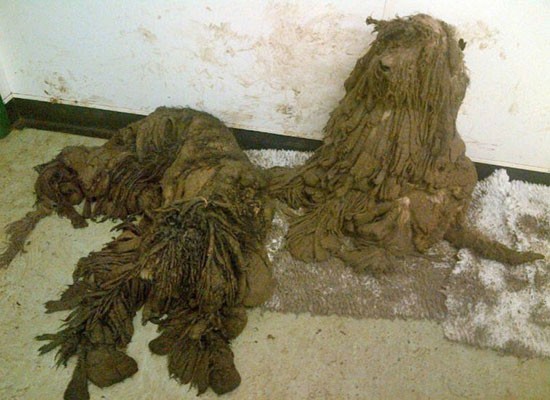 Bakın nasıl değiştiler