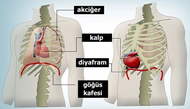 BU ADAMIN KALBİ DIŞARDA ATIYOR!