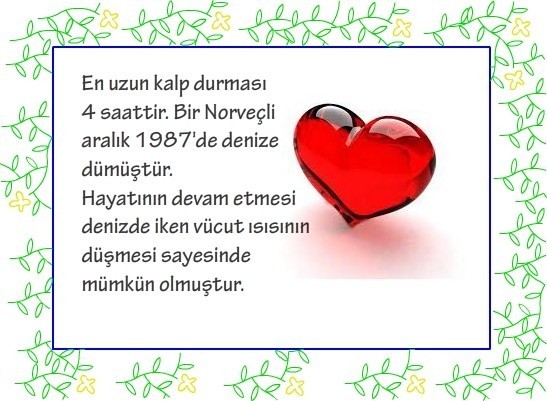 İLGİNÇ BİLGİLER!