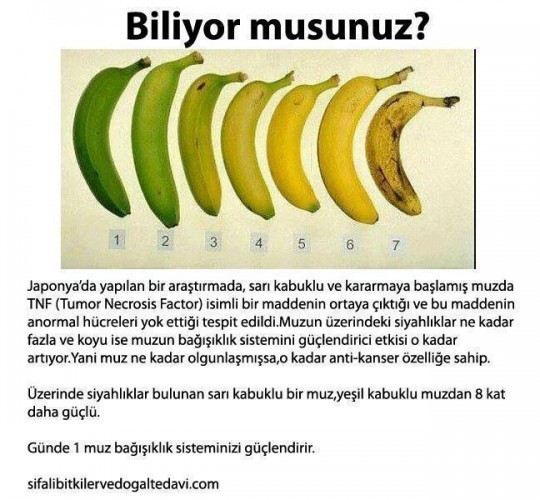 İLGİNÇ BİLGİLER!