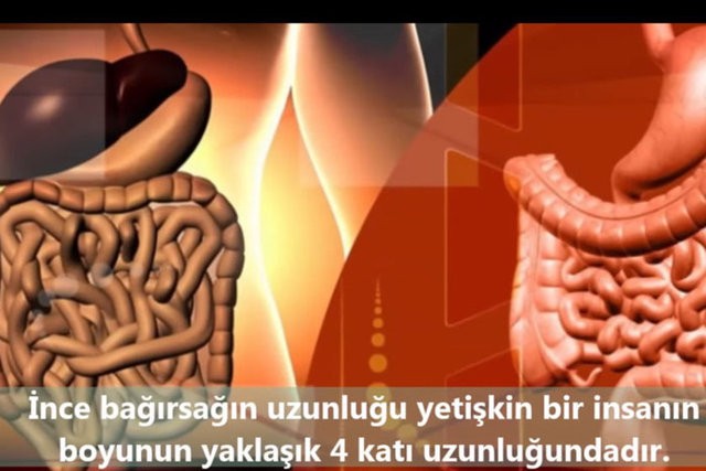 İnsanlar da Olan 10 Ortak Özellik