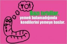 İLGİNÇ BİLGİLER!