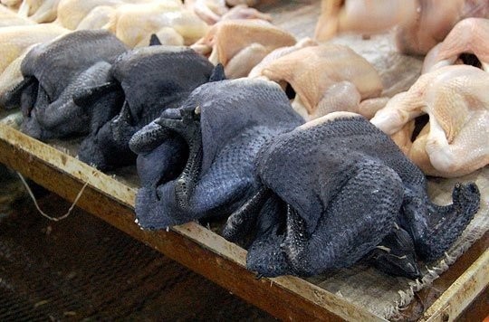 Siyah tavuğun sırrı ne?