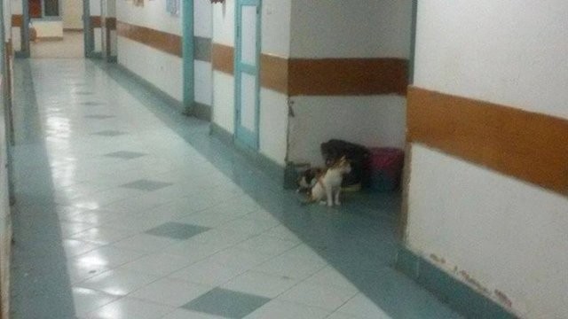 Çok Şaşıracaksınız! Hastane Demeye Bin Şahit Lazım