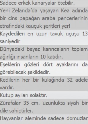 İLGİNÇ BİLGİLER!