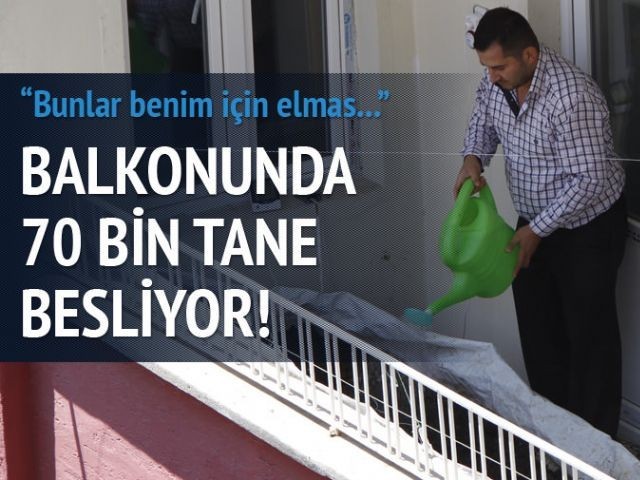 Onlar benim elmaslarım diyor…