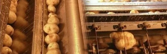 Cips Nasıl Yapılır.. Bir daha yemek istemeyeceksiniz !
