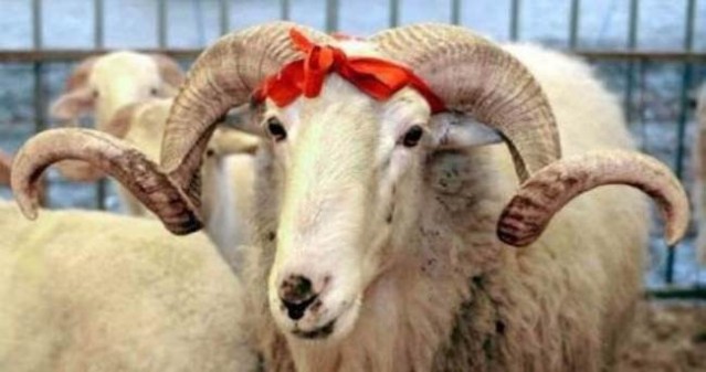 OKULLAR KESİN 14 GÜN TATİL EDİLDİ!