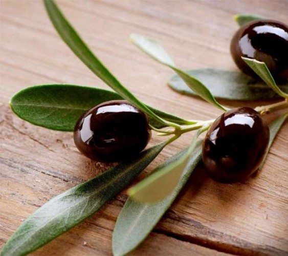 Zeytinyağının faydaları nelerdir