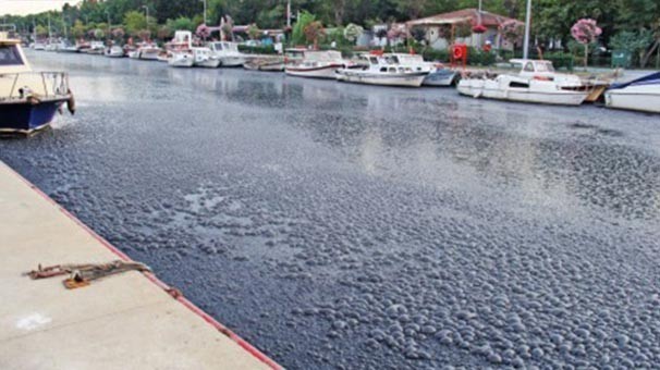 ŞOK! SİYAHA BOYANDI, KABARCIKLAR ÇIKMAYA BAŞLADI! İSTANBUL'UN GÖBEĞİNDE KORKUTAN GÖRÜNTÜ!