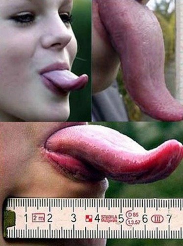 Dünyanın en ilginç organ rekorları !