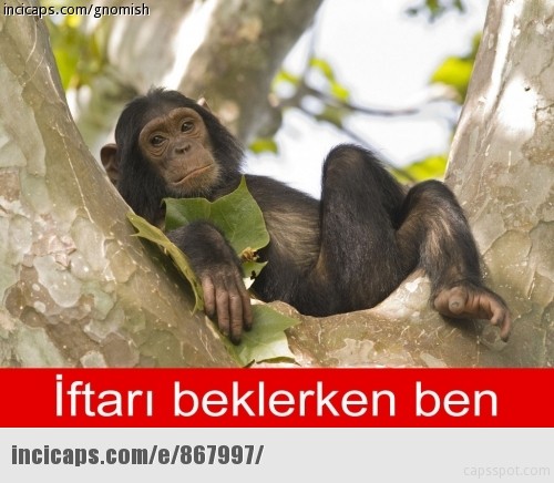 Gülme garantili 'caps'ler