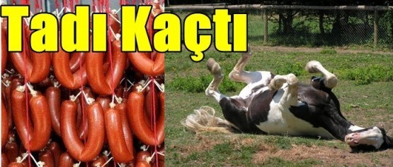 Dikkat! Bakanlık açıkladı...  At, eşek ve domuz eti yediren firmalar!