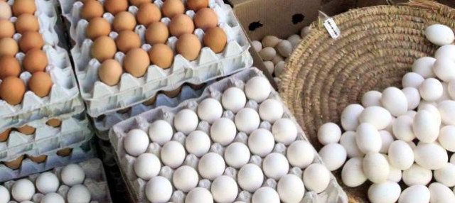 Yumurta satışında yeni dönem: Son tarih 20 Aralık !