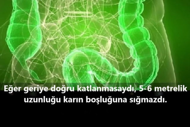 İnsanlar da Olan 10 Ortak Özellik