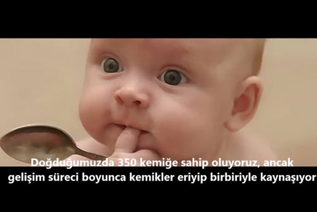 İnsanlar da Olan 10 Ortak Özellik