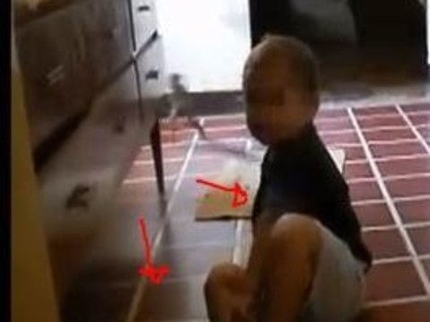 Bu görüntüler dünyayı ayağa kaldırdı!