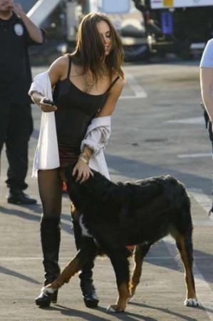 BU KADAR DA OLMAZ! SOKAK ORTASINDA  KÖPEĞİ İLE  CİNSEL İLİŞKİYE GİRDİ! YOK ARTIK !