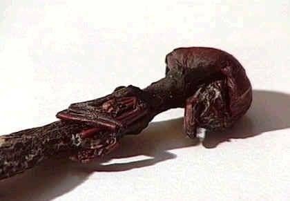 İşte bilimin aciz kaldığı sır gibi yaratıklar!
