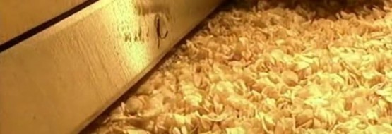 Cips Nasıl Yapılır.. Bir daha yemek istemeyeceksiniz !