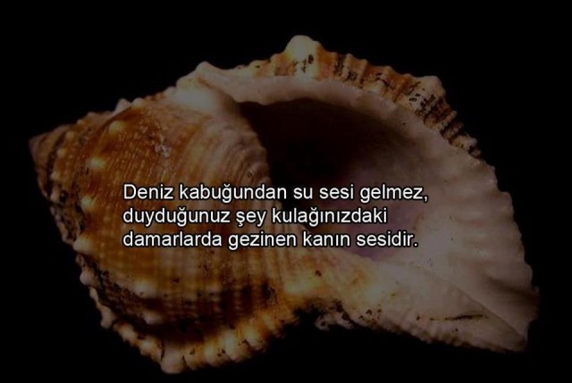 İLGİNÇ BİLGİLER!