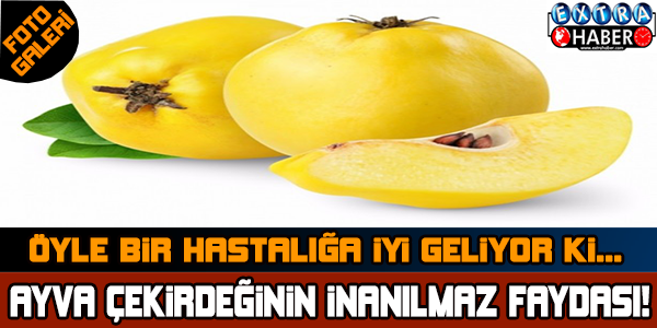 Ayva çekirdeğinin inanılmaz faydaları !