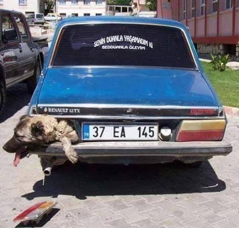 WELCOME TO TURKEY