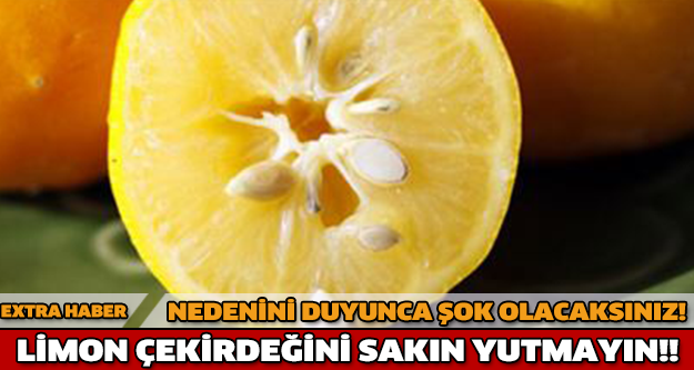 NEDENİNİ DUYUNCA ŞOK OLACAKSINIZ! LİMON ÇEKİRDEĞİNİ SAKIN YUTMAYIN!