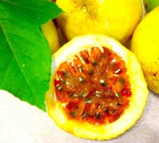 Herkes Bu Meyveyi Arıyor! Yiyenin Eli Kolu Tutmuyor ve..