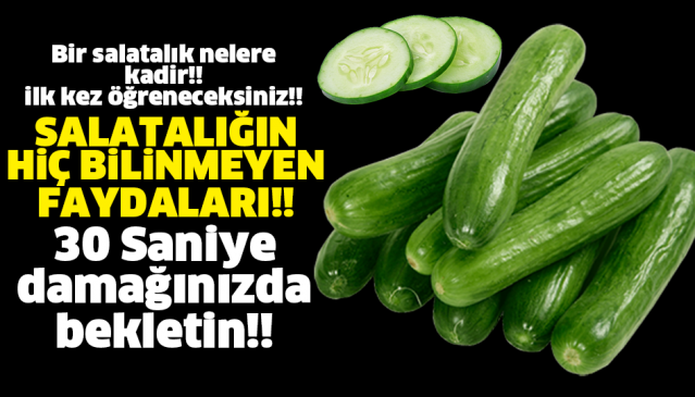 Bir salatalık nelere kadir, okuyun... İlk kez öğreneceksiniz
